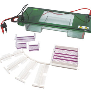 Horizontal Electrophoresis YR03418
