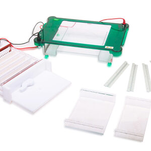 Horizontal Electrophoresis YR03420